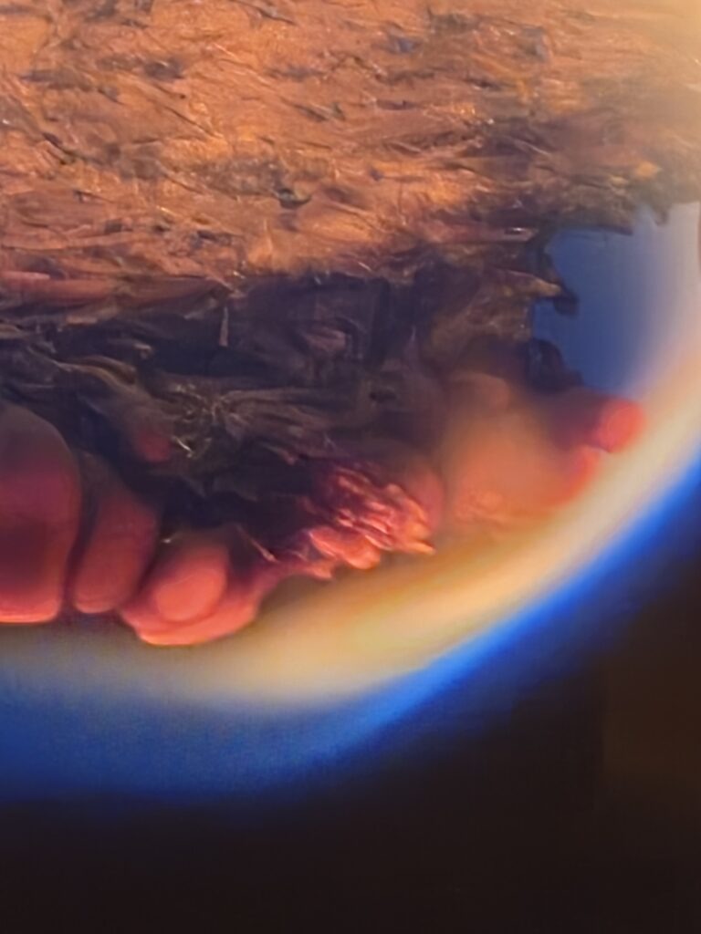 Abstract close-up of a textured surface, possibly organic, with vivid colors blending into a dark backdrop, suggesting depth and complexity.