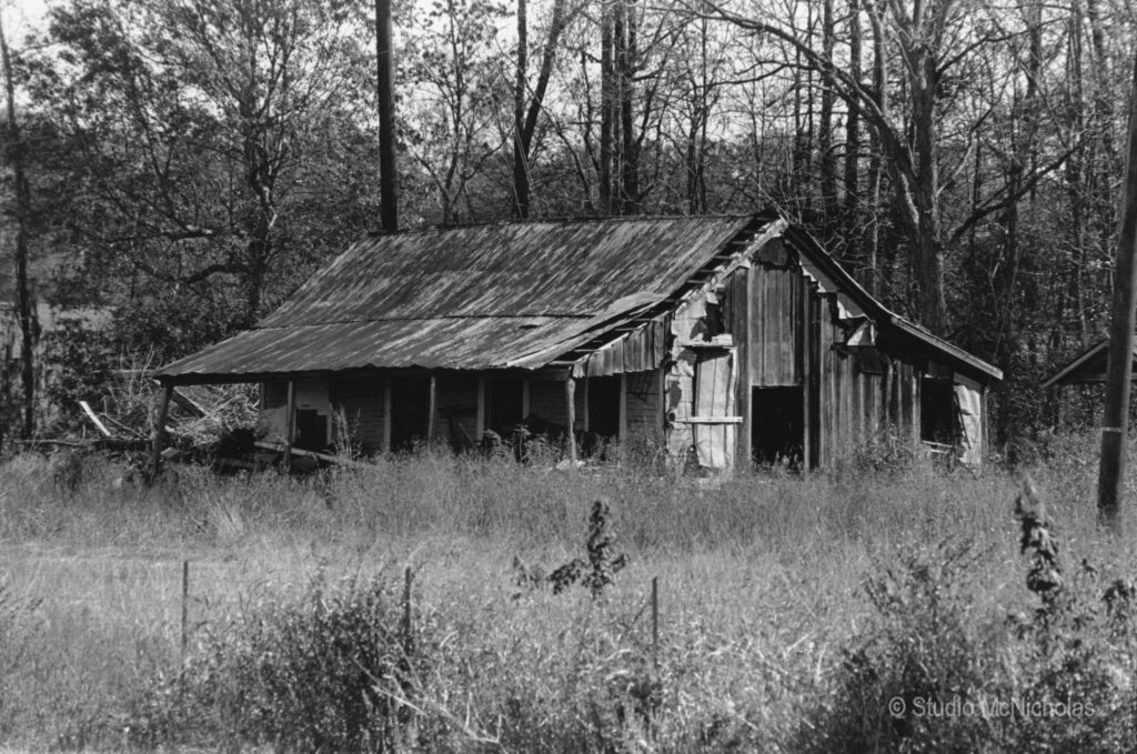 Dilapidated wooden barn stands surrounded by overgrown grass and trees, showcasing rural abandonment and natural decay.