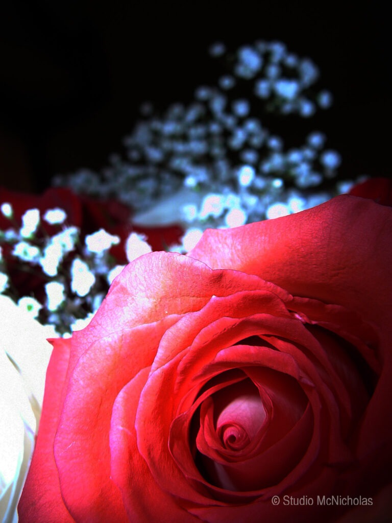 Close-up of a vibrant red rose, revealing intricate petal details. Soft white baby&rsquo;s breath provides a delicate contrast, enhancing its romantic appeal.