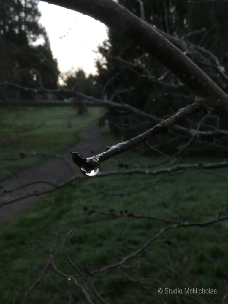 Wooden deck overlooking a serene pond with aquatic plants and a gentle waterfall cascading from a mossy cliff, creating a tranquil outdoor setting.