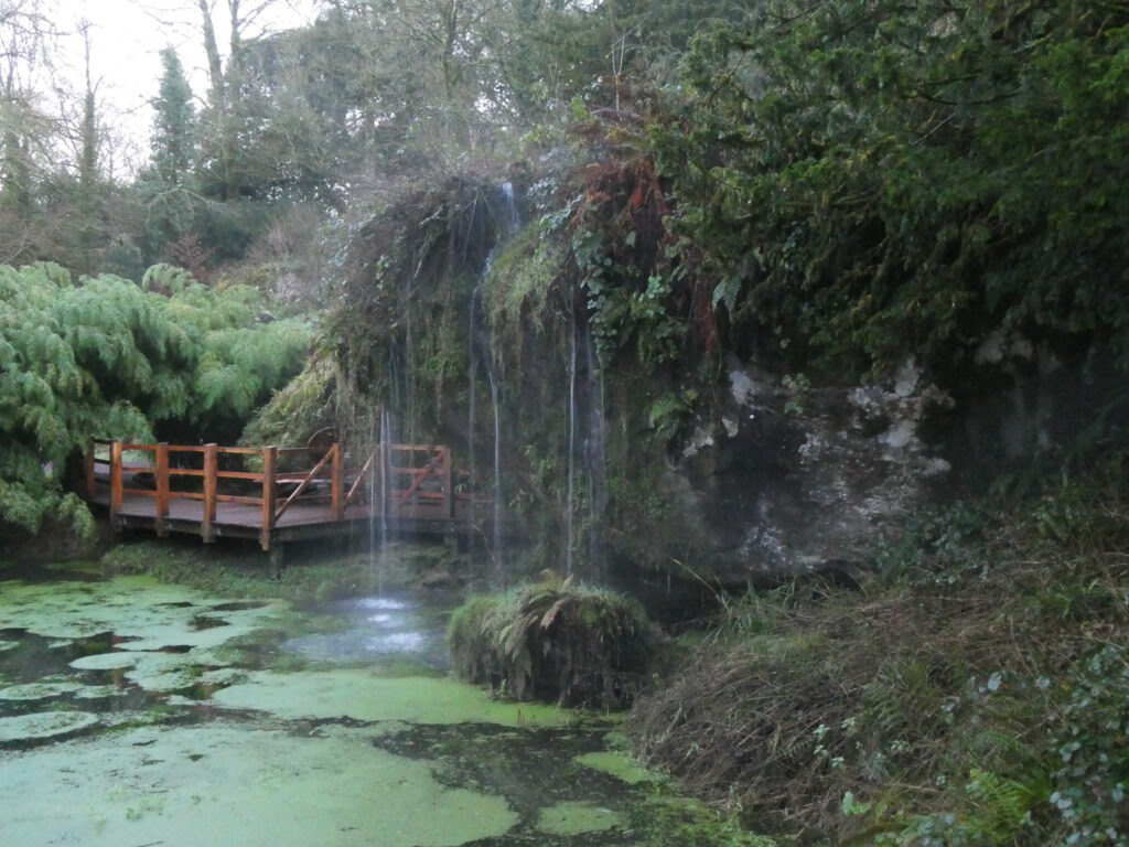 Wooden deck overlooking a serene pond with aquatic plants and a gentle waterfall cascading from a mossy cliff, creating a tranquil outdoor setting.