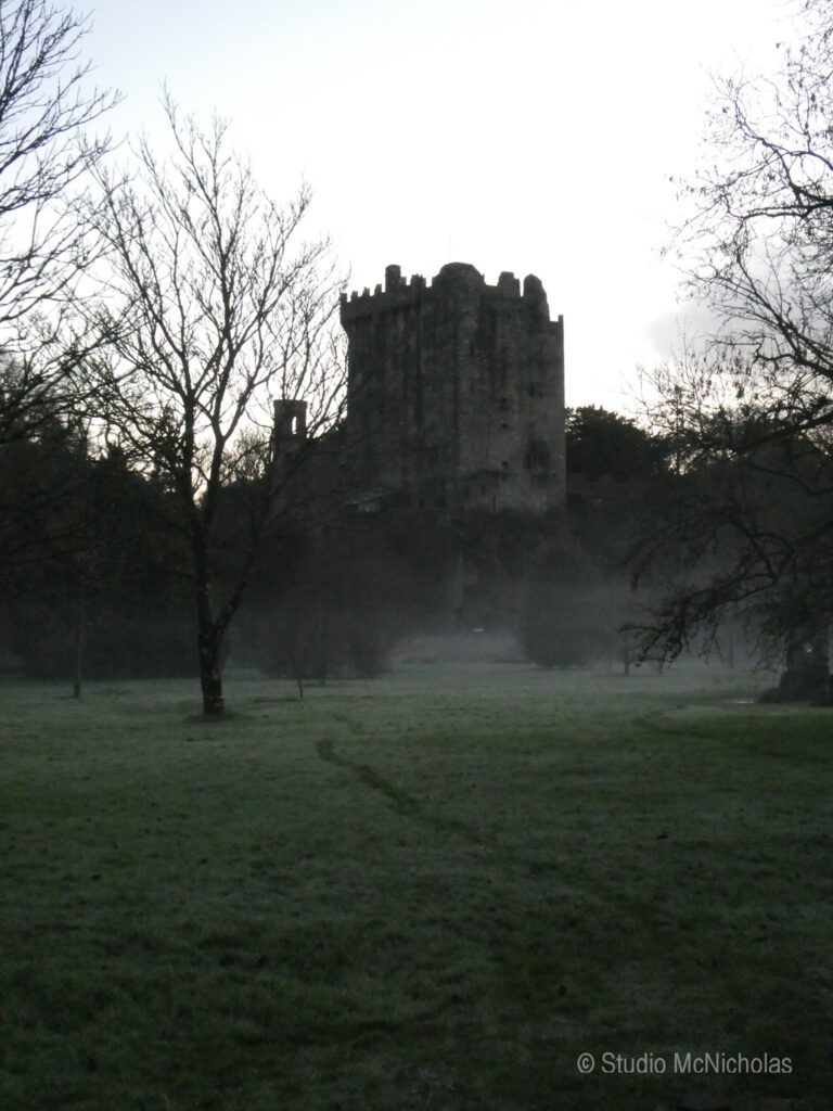 A misty morning scene featuring a tall, medieval stone castle nestled among bare trees in a grassy landscape.