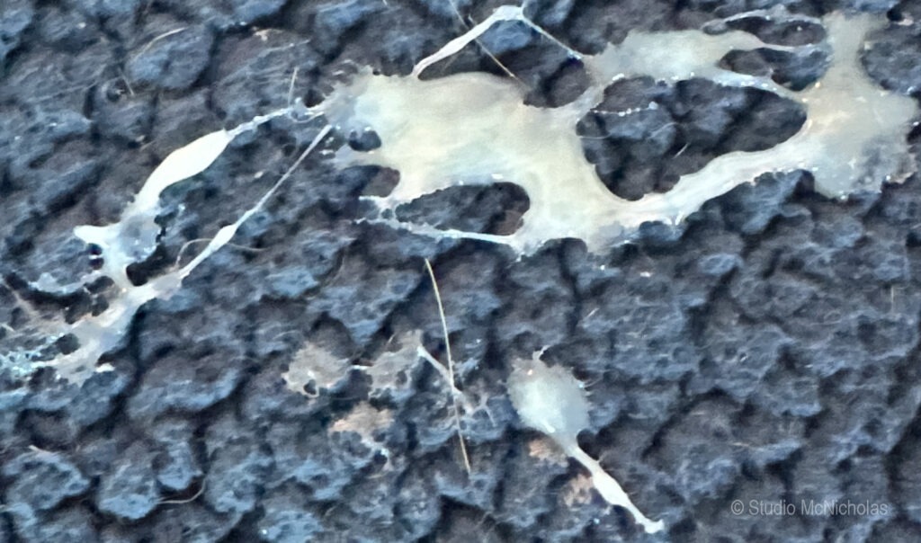 Close-up of a textured black surface with light-colored liquid splatters, showcasing an abstract pattern relevant to art or material studies.