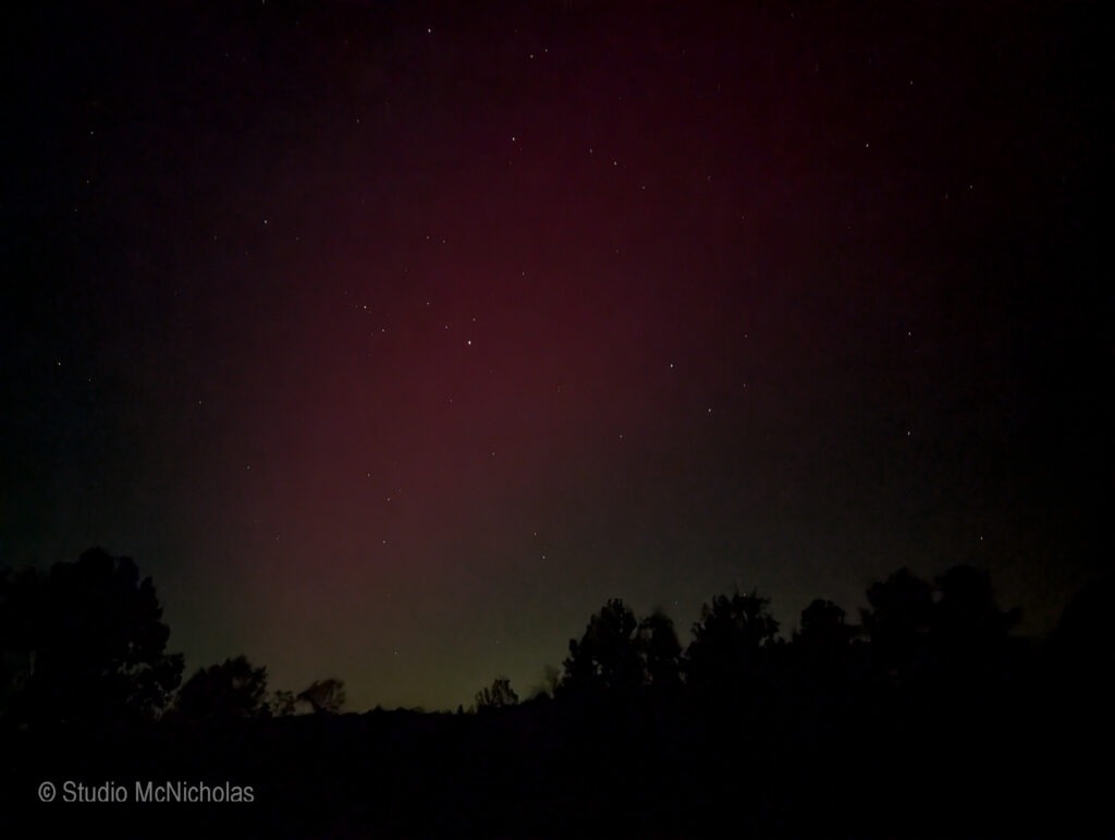 Aurora borealis lighting up the night sky with shades of purple and green, framed by silhouetted trees. Captures a stunning natural phenomenon.