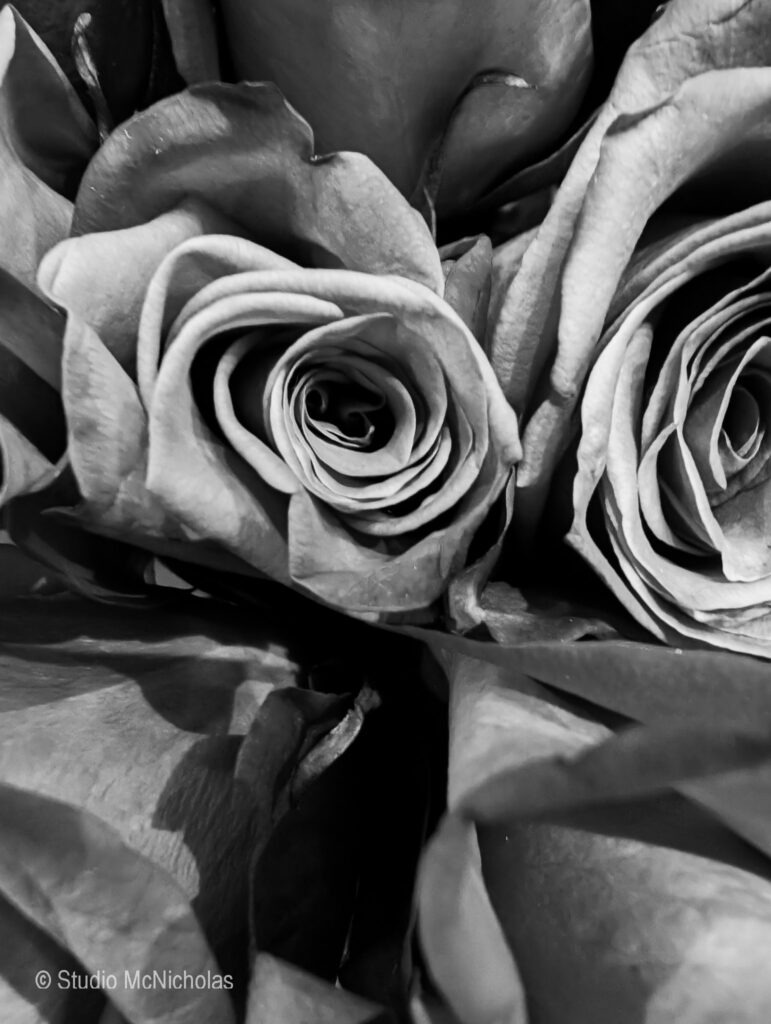 Close-up of two delicate roses in black and white, highlighting their intricate petals and textures. Suitable for floral design or photography topics.