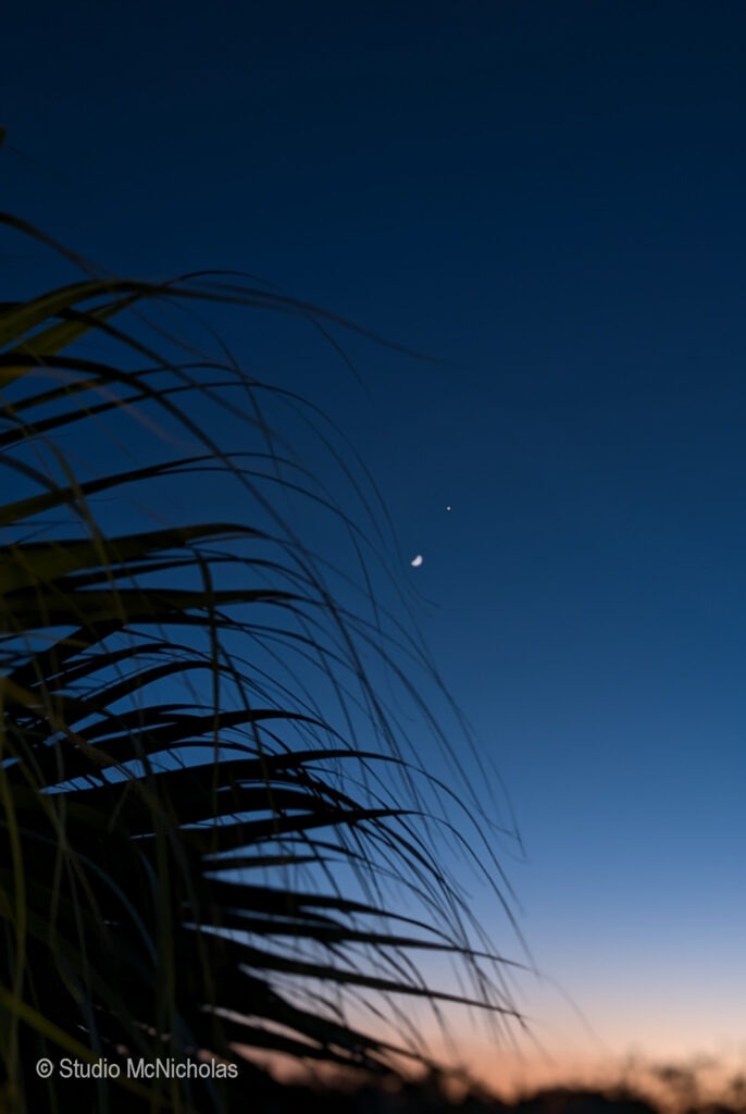 Silhouetted grass against a twilight sky features a crescent moon and a bright planet, illustrating a serene evening atmosphere.