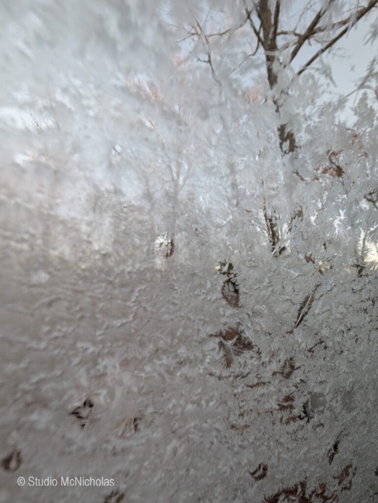 Frosted glass displaying intricate ice patterns with blurred trees in the background, highlighting a cold winter scene.